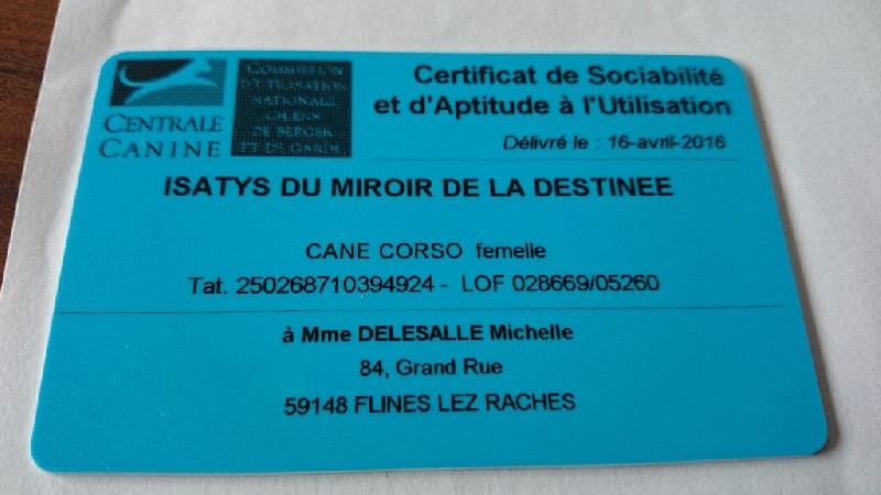 Isatys Du Miroir De La Destinée